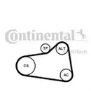 CONTINENTAL CTAM 6PK905 EXTRA K1 Keilrippenriemen Kit