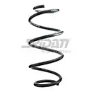 Fahrwerksfeder Spidan 87053 für Renault für Dacia Hinterachse