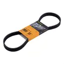 CONTINENTAL CTAM 6PK905 EXTRA Keilrippenriemen