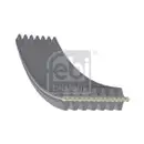 FEBI BILSTEIN 45025 Keilrippenriemen