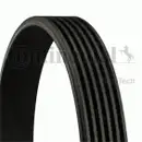 CONTINENTAL CTAM 6PK1020 EXTRA Keilrippenriemen