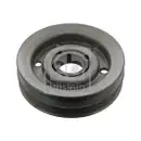 FEBI BILSTEIN 43789 Riemenscheibe für VOLVO