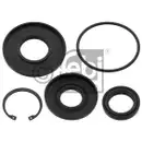 FEBI BILSTEIN 44319 Dichtungssatz für DAF