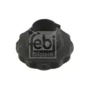 FEBI BILSTEIN 46689 Achsmutter