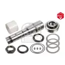 FEBI BILSTEIN 47153 Achsschenkelbolzensatz für VOLVO