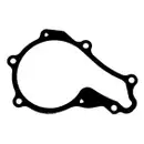 Dichtung Wasserpumpe Elring 569.350 für Citroën für Fiat für Ford für Mazda