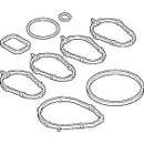 Dichtungssatz Ansaugkrümmer Elring 728.670 für Fiat für Lancia