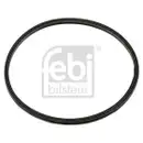 FEBI BILSTEIN 48440 Abgaskrümmerdichtung für RENAULT