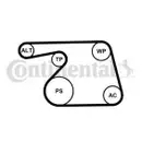 CONTINENTAL CTAM 6PK1318K2 Keilrippenriemen Kit