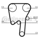 CONTINENTAL CTAM CT979WP2 Zahnriemen Kit + Wasserpumpe