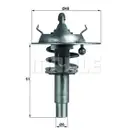 MAHLE TX 106 90D Thermostateinsatz mit Dichtung