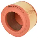 MANN-FILTER C 22 024 Luftfilter