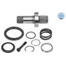 Steckwelle Differential Meyle 100 498 0247 Meyle-original: True To Oe. für Audi