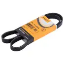 CONTINENTAL CTAM 5PK1121 EXTRA Keilrippenriemen