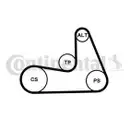 CONTINENTAL CTAM 5PK1121 EXTRA Keilrippenriemen