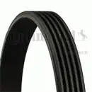 CONTINENTAL CTAM 5PK1121 EXTRA Keilrippenriemen