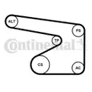 CONTINENTAL CTAM 5PK1355K1 Keilrippenriemen Kit