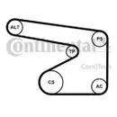 CONTINENTAL CTAM 5PK1355K1 Keilrippenriemen Kit
