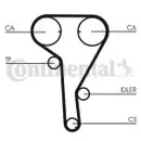 CONTINENTAL CTAM CT1077WP2 Zahnriemen Kit + Wasserpumpe
