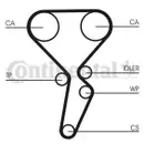 CONTINENTAL CTAM CT1179WP4 Zahnriemen Kit + Wasserpumpe