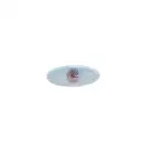 VAN WEZEL Blinker seitlich li./re. 5405915