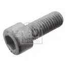 Achsschraube Antriebswelle Febi Bilstein 101234 für Chrysler für Dodge