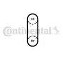 CONTINENTAL CTAM CT1204 Zahnriemen