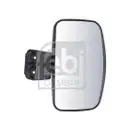 FEBI BILSTEIN 101909 Rampenspiegel für DAF