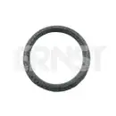 ERNST 490313 Dichtring