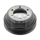 FEBI BILSTEIN 102045 Riemenscheibe für PEUGEOT