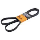 CONTINENTAL CTAM 6PK1822 EXTRA Keilrippenriemen