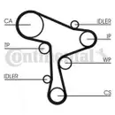CONTINENTAL CTAM CT1168WP1 Zahnriemen Kit + Wasserpumpe