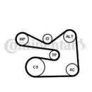 CONTINENTAL CTAM 6PK1733WP3 Keilrippenriemen Kit + Wasserpumpe