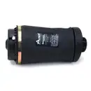 ArnottEurope Air Spring, suspension A-2597