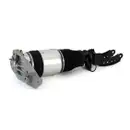 ArnottEurope Air Spring Strut AS-3164