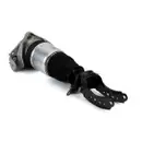 ArnottEurope Air Spring Strut AS-3164