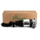 ArnottEurope Air Spring Strut AS-3165
