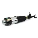 ArnottEurope AS-3363 Air Spring Strut