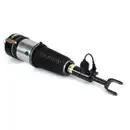 ArnottEurope AS-3363 Air Spring Strut