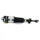 ArnottEurope AS-3363 Air Spring Strut
