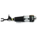 ArnottEurope AS-3369 Air Spring Strut