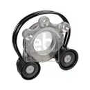 Riemenspanner Keilrippenriemen Febi Bilstein 175858 für Jaguar für Land Rover