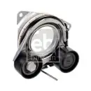 FEBI BILSTEIN 176489 Riemenspanner für BMW, ALPINA
