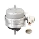 FEBI BILSTEIN 176956 Motorlager