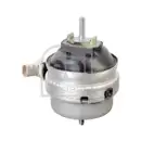 FEBI BILSTEIN 176956 Motorlager