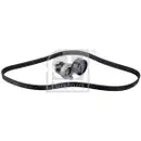 FEBI BILSTEIN 177165 Keilrippenriemensatz für DACIA, RENAULT