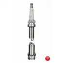 4x NGK Zündkerze Citroen Berlingo C2 C3 C4 Xsara Peugeot 206 1007 307 2000-2016
