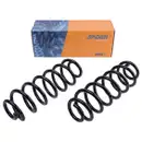 2x Spidan Fahrwerksfeder 86484 Hinterachse VW Passat 3C2 3C5 365 Tiguan 5N