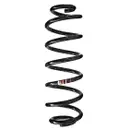 2x Spidan Fahrwerksfeder 86349 Hinterachse Skoda Superb II VW Eos