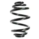 2x Spidan Fahrwerksfeder 49767 Hinterachse BMW 3er E46